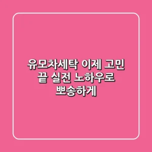 유모차세탁, 이제 고민 끝! 실전 노하우로 뽀송하게