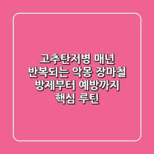 고추탄저병, 매년 반복되는 악몽? 장마철 방제부터 예방까지 핵심 루틴