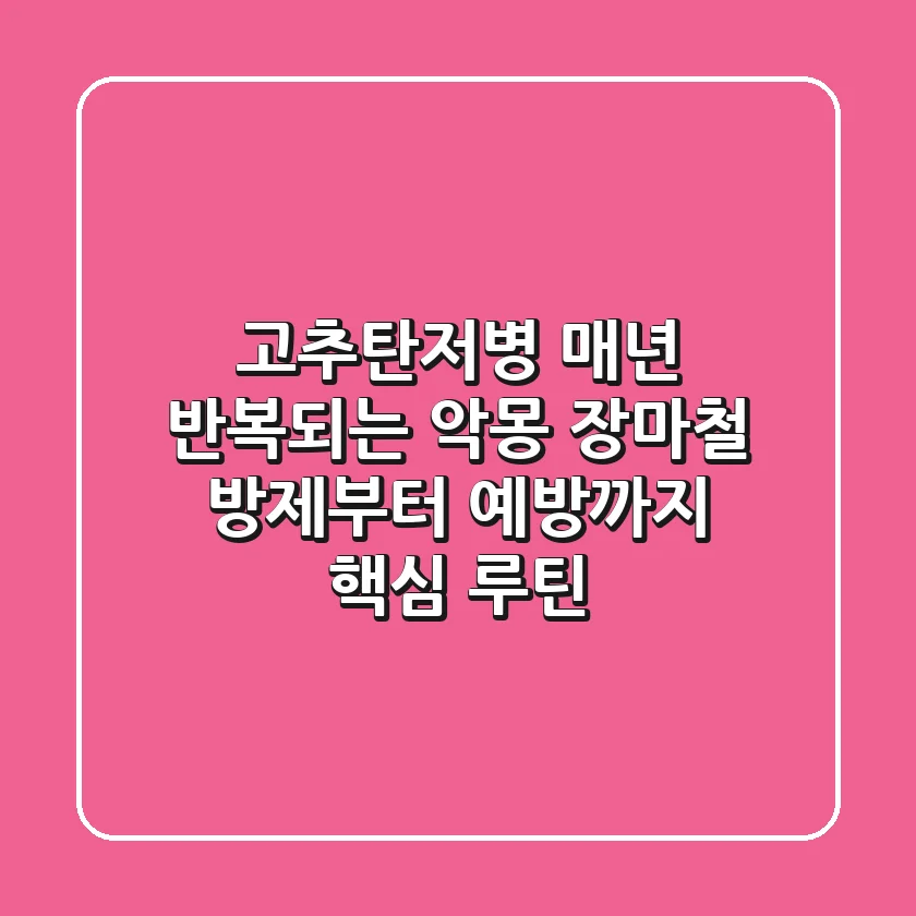 고추탄저병, 매년 반복되는 악몽? 장마철 방제부터 예방까지 핵심 루틴