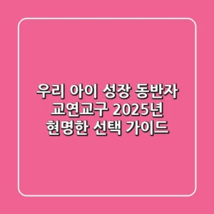 우리 아이 성장 동반자, 교연교구! 2025년 현명한 선택 가이드