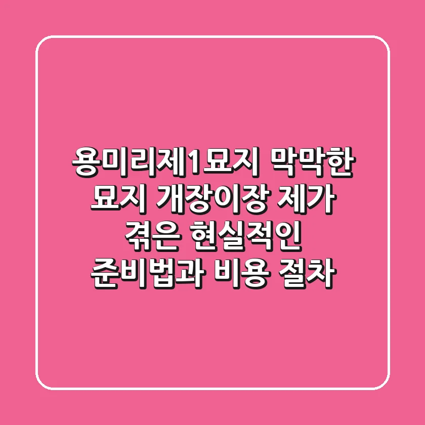용미리제1묘지, 막막한 묘지 개장/이장? 제가 겪은 현실적인 준비법과 비용 절차