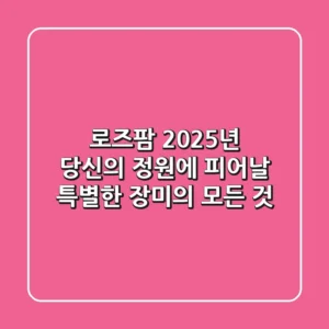 로즈팜: 2025년, 당신의 정원에 피어날 특별한 장미의 모든 것