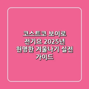 코스트코 보이로 전기요, 2025년 현명한 겨울나기 실전 가이드
