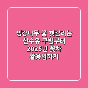 생강나무 꽃: 헷갈리는 산수유 구별부터 2025년 꽃차 활용법까지