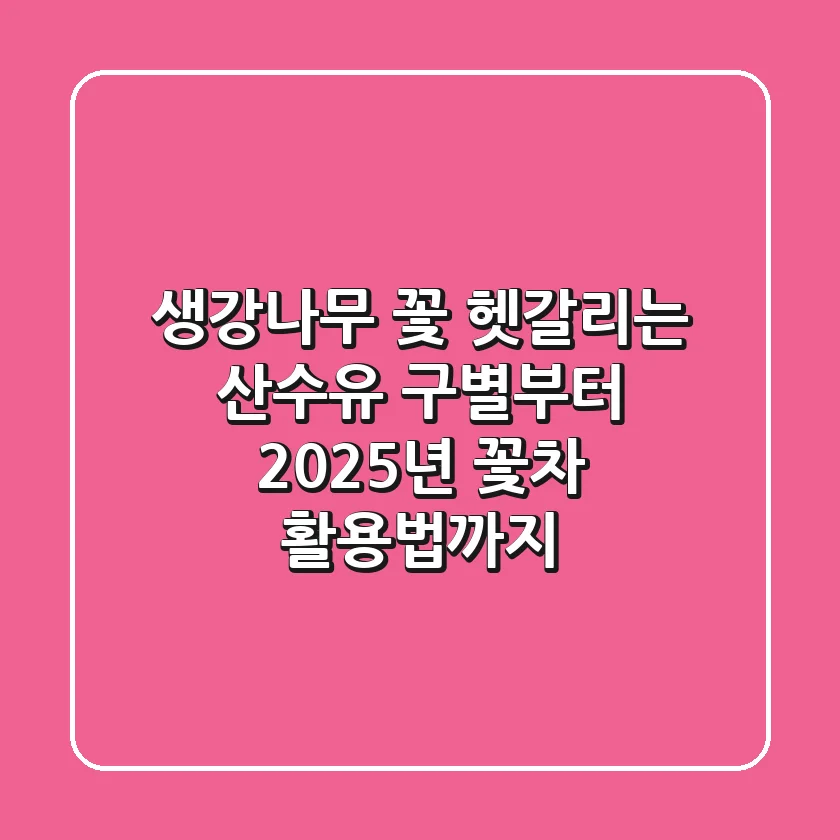 생강나무 꽃: 헷갈리는 산수유 구별부터 2025년 꽃차 활용법까지
