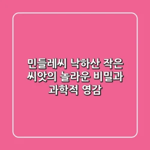 민들레씨 낙하산, 작은 씨앗의 놀라운 비밀과 과학적 영감