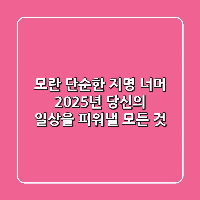 모란, 단순한 지명 너머: 2025년 당신의 일상을 피워낼 모든 것