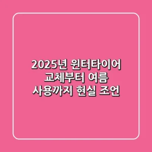 2025년 윈터타이어, 교체부터 여름 사용까지 현실 조언