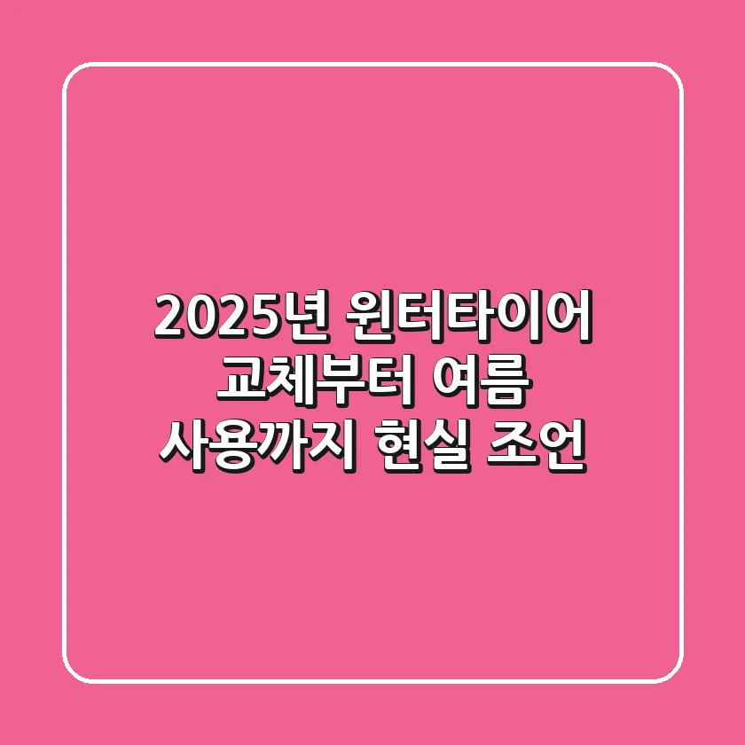 2025년 윈터타이어, 교체부터 여름 사용까지 현실 조언