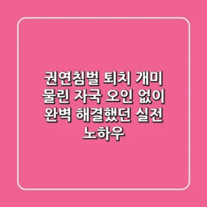 권연침벌 퇴치, 개미 물린 자국 오인 없이 완벽 해결했던 실전 노하우
