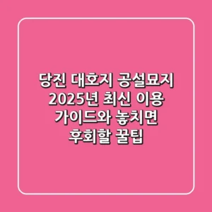 당진 대호지 공설묘지, 2025년 최신 이용 가이드와 놓치면 후회할 꿀팁