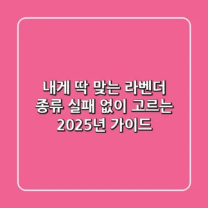 내게 딱 맞는 라벤더 종류, 실패 없이 고르는 2025년 가이드
