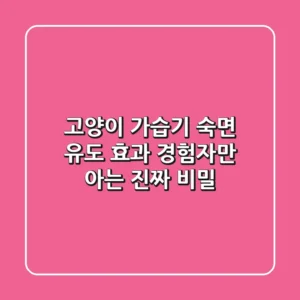 고양이 가습기, 숙면 유도 효과? 경험자만 아는 진짜 비밀