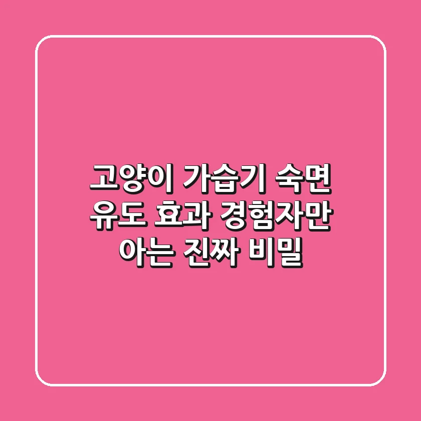 고양이 가습기, 숙면 유도 효과? 경험자만 아는 진짜 비밀