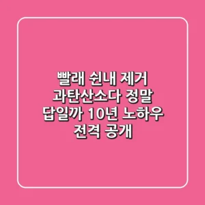 빨래 쉰내 제거, 과탄산소다 정말 답일까? 10년 노하우 전격 공개!