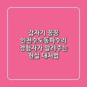 갑자기 꽁꽁? 인천수도동파수리, 경험자가 알려주는 현실 대처법