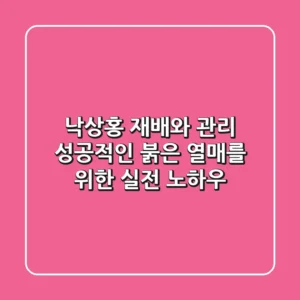 낙상홍 재배와 관리, 성공적인 붉은 열매를 위한 실전 노하우