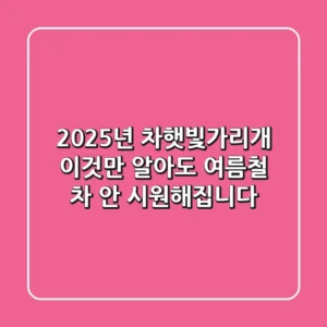 2025년 차햇빛가리개: 이것만 알아도 여름철 차 안 시원해집니다