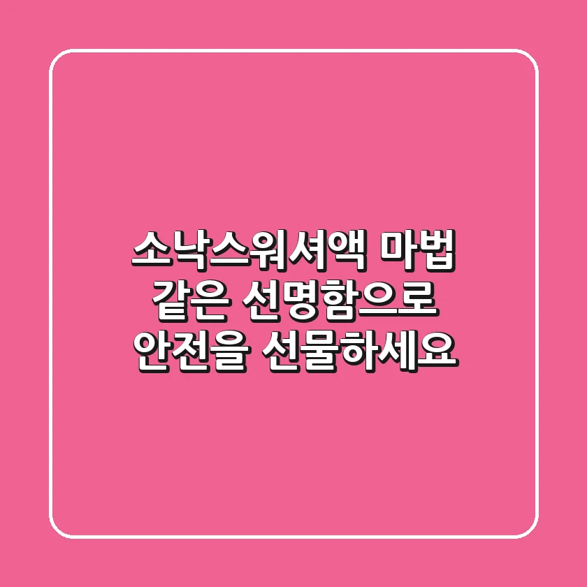 소낙스워셔액: 마법 같은 선명함으로 안전을 선물하세요!