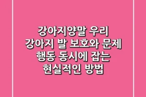 강아지양말, 우리 강아지 발 보호와 문제 행동 동시에 잡는 현실적인 방법