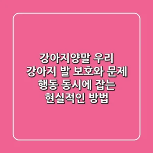 강아지양말, 우리 강아지 발 보호와 문제 행동 동시에 잡는 현실적인 방법