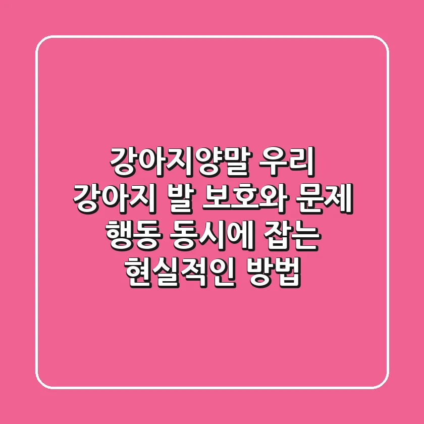 강아지양말, 우리 강아지 발 보호와 문제 행동 동시에 잡는 현실적인 방법
