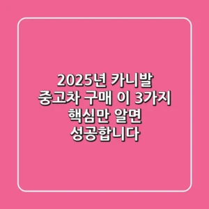 2025년 카니발 중고차 구매, 이 3가지 핵심만 알면 성공합니다