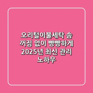 오리털이불세탁, 솜 꺼짐 없이 빵빵하게! 2025년 최신 관리 노하우