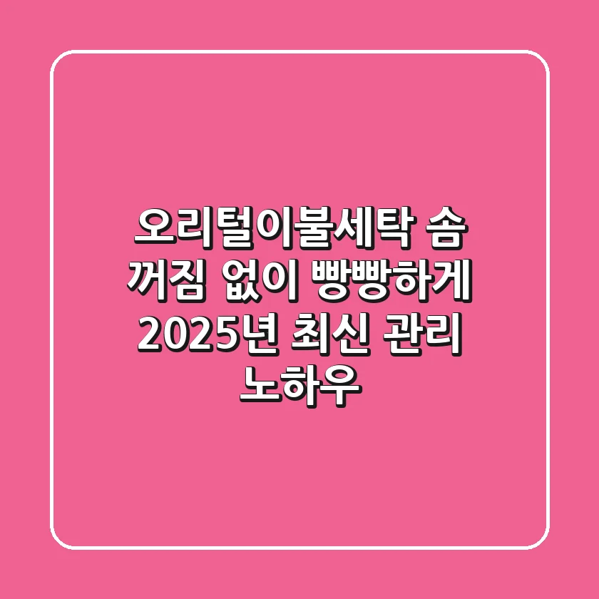 오리털이불세탁, 솜 꺼짐 없이 빵빵하게! 2025년 최신 관리 노하우