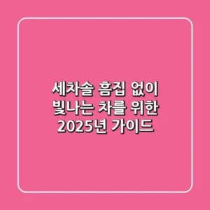세차솔, 흠집 없이 빛나는 차를 위한 2025년 가이드