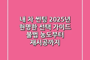 내 차 썬팅, 2025년 현명한 선택 가이드 (불법 농도부터 재시공까지)