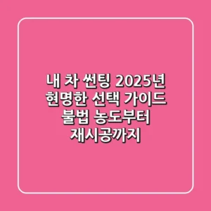 내 차 썬팅, 2025년 현명한 선택 가이드 (불법 농도부터 재시공까지)